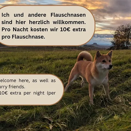 B7 - Urlaubsmagie Maisonette Mit Balkon 公寓 利希滕海恩